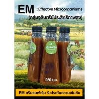 ราคา "EM หัวเชื้อจุลินทรีย์อีเอ็ม ชีวภาพ เข้มข้น 250cc | ปรับดินและน้ำเพื่อการเจริญเติบโต (14691299914)