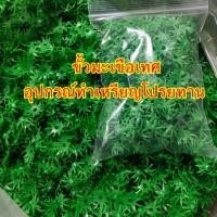 ราคา ขั้วมะเขือเทศ พลาสติกราคาถูก อุปกรณ์ทำเหรียญโปรยทาน งานฝีมือ (7012719252)