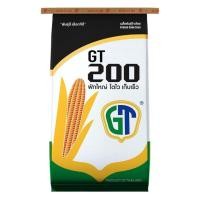 ราคา เมล็ดข้าวโพดเลี้ยงสัตว์ GT 200 (จีที 200) 3.5 หุน (10 กก.) ฝักใหญ่ โตไว เก็บเร็ว เหมาะสำหรับเก็บสด (9482553108)