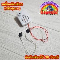ราคา เครื่องอัดเสียง ใส่ในตุ๊กตา (23175611871)