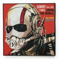 ราคา Antman #1 แอนท์แมน อเวนเจอร์ มาร์เวล​ มนุษย์มดมหากาฬ รูปภาพติดผนัง pop art Avengers marvel กรอบรูป แต่งบ้าน ของขวัญ (4735198434)