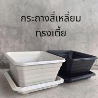 ราคา กระถาง 7, 10, 14 นิ้วทรงเตี้ย กระถางบอนไซ มีจานรอง (26417469577)