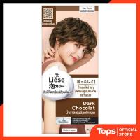 ราคา LIESE ลิเซ่โฟมเปลี่ยนสีผมดาร์คช็อคโกแลต [8851818091528] (53707277862)