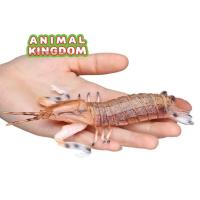 ราคา Animal Kingdom โมเดลสัตว์ Mantis Shrimp กั้ง ทะเล หางเทา ขนาด 15.00 CM (จากหาดใหญ่) (20741039521)