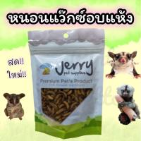 ราคา หนอนแว๊กซ์อบแห้ง jerry (ปริมาณ 20g) (7160112414)