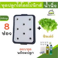 ราคา [กระบะ8ช่อง-ฟิลเลย์]ชุดทดลองปลูกผักไฮโดรโปนิกส์ เมล็ดฟิลเลย์ ปลูกผักไร้ดิน กระบะปลูกผักไฮโดรโปนิกส์ (29562327335)