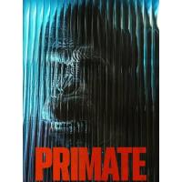 ราคา ของสะสมสำหรับเครื่องเล่นBlu-ray+DVD Primate (2026) ลิงคลั่งพันธุ์ดิบ (45506961602)