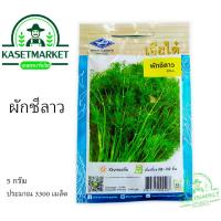 ราคา ผักชีลาว เจียไต๋ 5 กรัม ประมาณ 3300 เมล็ด เมล็ดพันธุ์ผัก (11751095051)
