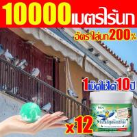 ราคา อัตราการไล่นก 100%, ลูกปัดไล่นกพิราบ 12 เม็ด, ลูกปัดไล่นกพิราบ 10,000 เมตร, ลูกปัดไล่นก, เก็บนกออกไปได้อย่างง่ายดาย, สูตรไล่นกอ่อนโยน (41274315878)