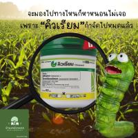 ราคา คิวเรียม ยากำจัดไข่และหนอนผีเสื้อ หนอนกระทู้ ชื่อสามัญ ลูเฟนนูรอน + อีมาเมกตินเบนโซเอต ขนาด50g (19616179554)