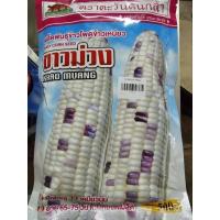 ราคา เมล็ดข้าวโพด เมล็ดข้าวโพดข้าวเหนียว ขาวม่วง ขนาด 500 กรัม ตรา ตะวันต้นกล้า (27210968204)