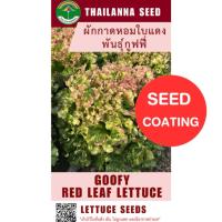 ราคา เมล็ดพันธุ์ผักสลัด ผักกาดหอมใบแดง พันธุ์กูฟฟี่ ( ขนาด 0.5 กรัม ) ( เมล็ดเคลือบ ) รหัสสินค้า SSC 1032 (29081172319)