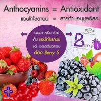 ราคา Berry S เบอร์รี่ เอส ของแท้100% ดีท็อกซ์ Detox ล้างสารพิษในร่างกาย ทำให้ระบบเลือดสะอาด ช่วยให้ระบบขับถ่ายดี (22511393036)