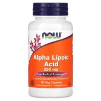 ราคา NOW Foods, Alpha Lipoic Acid, 250 mg, 60 Veg Capsules (22754083660)