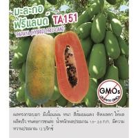 ราคา เมล็ดพันธุ์ มะละกอ ฮอลแลนด์ ฟรีแลนด์ TA151 - Papaya Hybrid ตราดอกแตง เมล็ดพันธุ์ เมล็ดผัก คุณภาพ "เพื่อนเกษตรกร" (5841069562)