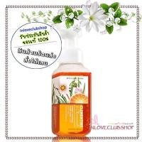 ราคา Bath & Body Works Gentle Foaming Hand Soap 259 ml. Clementine & Chamomile (2328798541)