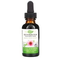 ราคา Nature's Way Echinacea อาหารเสริมภูมิต้านทาน สกัดจากสมุนไพรธรรมชาติ ผลิตอเมริกา ( 30 ml) (22868346846)