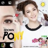 ราคา คอนแทคเลนส์ รุ่น Pony brown (1005629559)