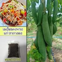 ราคา เมล็ดมะละกอพันธุ์แก้วกลางดง 10 กรัม จำนวน 500 - 600 เมล็ด (26560390218)