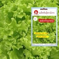 ราคา เมล็ดพันธุ์ผักสลัดกรีนคอรัล Green Coral Lettuce (เมล็ดพันธุ์คุณภาพดี) (6840360075)
