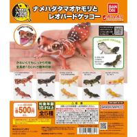 ราคา Gashapon Bandai Ikimono Encyclopedia Repti Nephrurus levis Leopard Gecko (2) (47451984098)