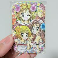 ราคา (งานแท้ สินค้ามือสองจากญี่ปุ่น) เข็มกลัด อนิเมะ มังงะ การ์ตูนเก่า Gals มิโฮนะ ฟูจิอิ Mihona Fujii (24793433293)