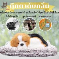 ราคา ตุ๊กตาน้องหมาดูดกลิ่นอับ ดูดกลิ่นอับในรถในบ้าน ดูดกลิ่นไม่พึงประสงค์ (4060291056)