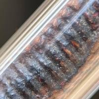 ราคา ตะกรุดสาริกาโสฬสมงคล เนื้อทองแดง (หรือตะกรุดเศรษฐี)หลวงพ่อกลั่น วัดพระญาติการาม พร้อมบัตรรับรองพระแท้ (21457196760)