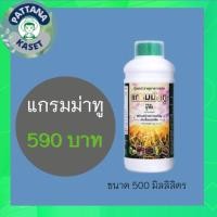 ราคา แกรมม่าทู 500 มิลลิลิตร สูตร 1 ใบเขียวแตกยอดเพิ่มผลผลิตผลโต ข้าวรวงโต ระแง้ถี่ ใบตั้ง (21129479874)