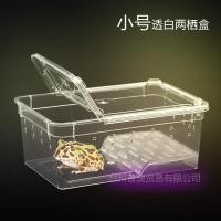 ราคา ขนาดเล็กสะเทินน้ำสะเทินบกกล่องHornedกบแห้งและเปียกแยกBreeding Boxเต่าสะเทินน้ำสะเทินบกอ่างล้างหน้าB (27219183253)