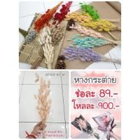ราคา หญ้าหางกระต่าย ดอกไม้แห้ง PRP34 (2138943134)