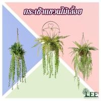 ราคา กระเช้าแขวนผนัง กระเช้าเฟิร์น กระเช้าเฟิร์นเลื้อย กระเช้าปาล์มเลื้อย กระเช้ายูคาเลื้อย #ต้นไม้ปลอมตกแต่งบ้าน (15284890693)