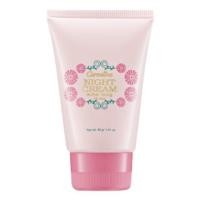 ราคา มีโปร ไนท์ครีม แอคทีฟ ยัง กิฟฟารีน ครีมบำรุงผิวก่อนนอน Active Young Night Cream (1545976609)