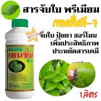 ราคา [1ลิตร] ยาจับใบ เทนชั่น ที-7 สารเพิ่มประสิทธิภาพของสารป้องกันกำจัดศัตรูพืช 1 ลิตร สารจับใบ น้ำยาจับใบ (28255665365)
