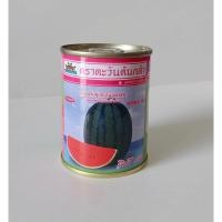 ราคา [ตะวันต้นกล้า] เมล็ดแตงโมลูกผสม แตงโมกินรี 188 (19981167146)