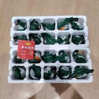 ราคา ไข่เป็ดและไข่ไก่ ไข่ลูกอ่อน สินค้าขายดี (สุกแล้วไม่ต้องต้มไม่ต้องอุ่นร้อน) สามารถทานได้เลย ไข่ระยะ 2 (41050125424)