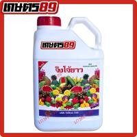 ราคา จิงโจ้ขาว พันทิพย์ หวีทอง ฮอร์โมนน้ำขาว ส่งเสริมการเจริญเติบโต ช่วยให้พืชสมบูรณ์แข็งแรง (แกลลอน 5 ลิตร) (49302143872)