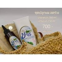 ราคา ชุดเข้มข้นปลูกผมรักษาหงอกเซรั่ม&แชมพู (8712135447)