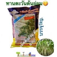 ราคา ทานตะวันต้นอ่อน ทานตะวันงอก ทานตะวันกินยอด เม็ดดำต้นอวบ ตรา3เอ บรรจุ1kg (2890453317)