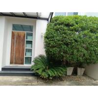 ราคา ต้น ปรงญี่ปุ่น Sago palm พร้อมปลูกในถุงดำ 59 บาท ปรง Cycad พืชที่ปลูกง่าย ดูแลง่าย ไม่จำเป็นต้องให้น้ำหรือปุ๋ยมาก (25723776555)