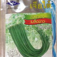ราคา เมล็ดพันธุ์ถั่วฝักยาว พันธุ์เมล็ดขาว (1992888798)