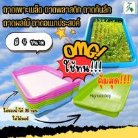 ราคา ถาดเพาะเมล็ด ถาดพลาสติก ถาดก้นลึก ถาดผลไม้ ถาดอเนกประสงค์ (21582133293)
