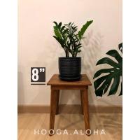 ราคา กระถางต้นไม้ กระถางดินเผา ทรงไข่ ลายเส้น (KAI-STRIPES) ขนาด 8” (7339669928)