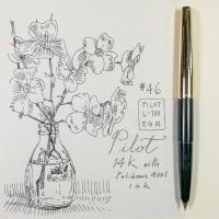 ราคา #046 Pilot L100 14K Gold Nib Fountain Pen : ปากกาหมึกซึม Pilot L100 หัวทอง 14K (6924504865)