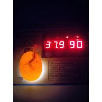 ราคา ไข่เชื้อไก่แจ้เหมาะสำหรับแม่ไก่กกไข่หรือเครื่องฟักไข่อัตโนมัติเท่านั้น (11011348805)