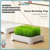 ราคา [OWTWO] ถาดเพาะเมล็ด Hydroponic, หม้อเลี้ยงแมวปลูกเองอเนกประสงค์, พลาสติกเรียบง่ายชาวไร่การเจริญเติบโตแบบใช้ซ้ําได้อุปกรณ์สวน (40479074933)