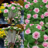 ราคา พร้อมส่ง 3.5บาท ดอกมะลิ มะลิผ้า ไม้สำเร็จพร้อมใช้ ไม้สวรรค์ ไม้เสียบธนบัตร หลายสี ไม้ยาว15-16นิ้ว ไม้กฐิน แพ็คละ 25 ไม้ (29150179096)