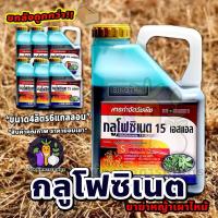 ราคา กลูโฟซิเนต 15 เอสแอล (กลูโฟซิเนต-แอมโมเนียม)ยาฆ่าหญ้าชนิดเผาไหม้ขายยกลัง6แกลลอน (29211642947)