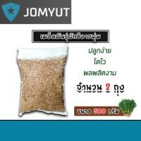 ราคา เมล็ดพันธุ์ผักชีลาว ทรงพุ่ม ขนาด 500 กรัม 2ถุง เม็ดผักชี เมล็ดพืช ผักชีลาว ผักชีลาวพุ่ม ต้นใหญ่ (40355548695)