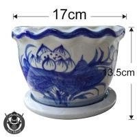 ราคา กระถางเซรามิค กระถางเคลือบลำปาง กระถางเคลือบลายคราม (3855504694)